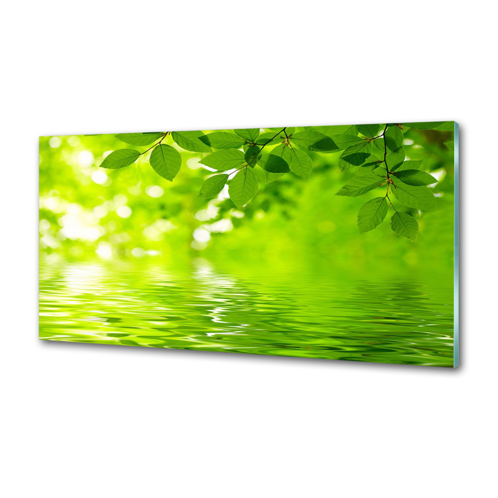 Panel do kuchni Zielone liście