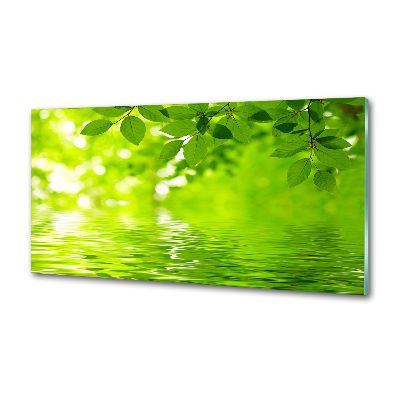 Panel do kuchni Zielone liście