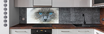 Panel lacobel Kot niebieskie oczy