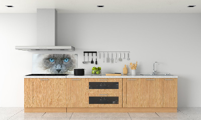 Panel lacobel Kot niebieskie oczy