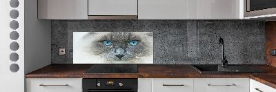 Panel lacobel Kot niebieskie oczy