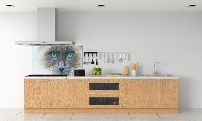 Panel lacobel Kot niebieskie oczy