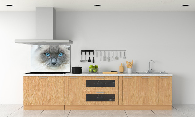 Panel lacobel Kot niebieskie oczy