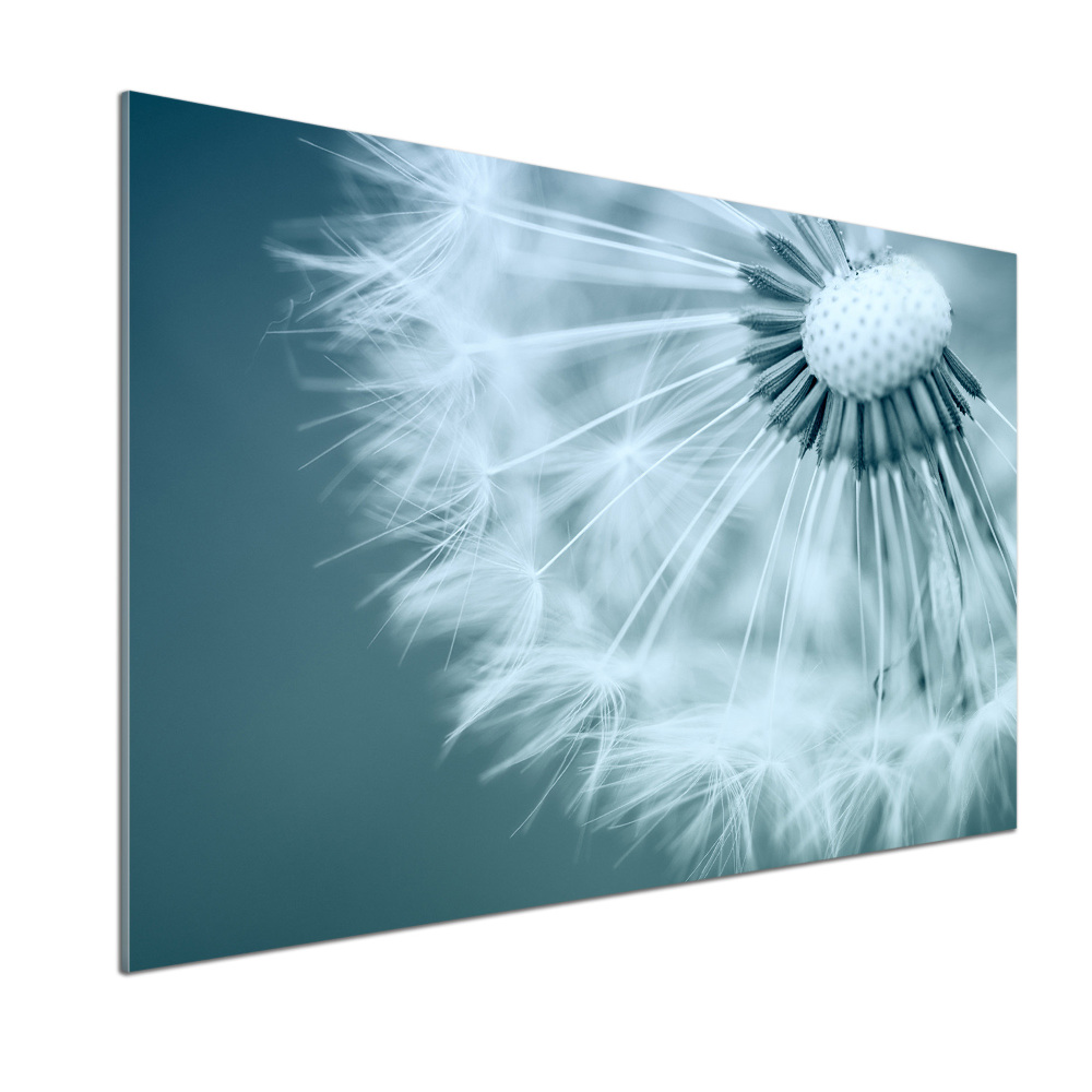Panel dekor szkło Dmuchawiec