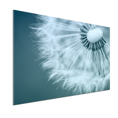 Panel dekor szkło Dmuchawiec