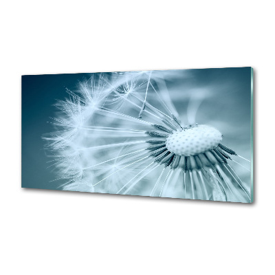 Panel dekor szkło Dmuchawiec