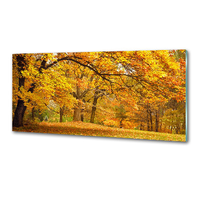 Panel do kuchni Jesień w parku