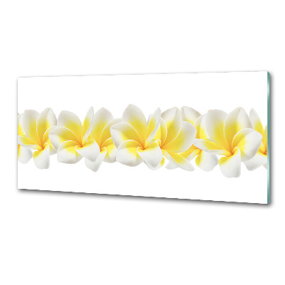 Panel między meble w kuchni Plumeria