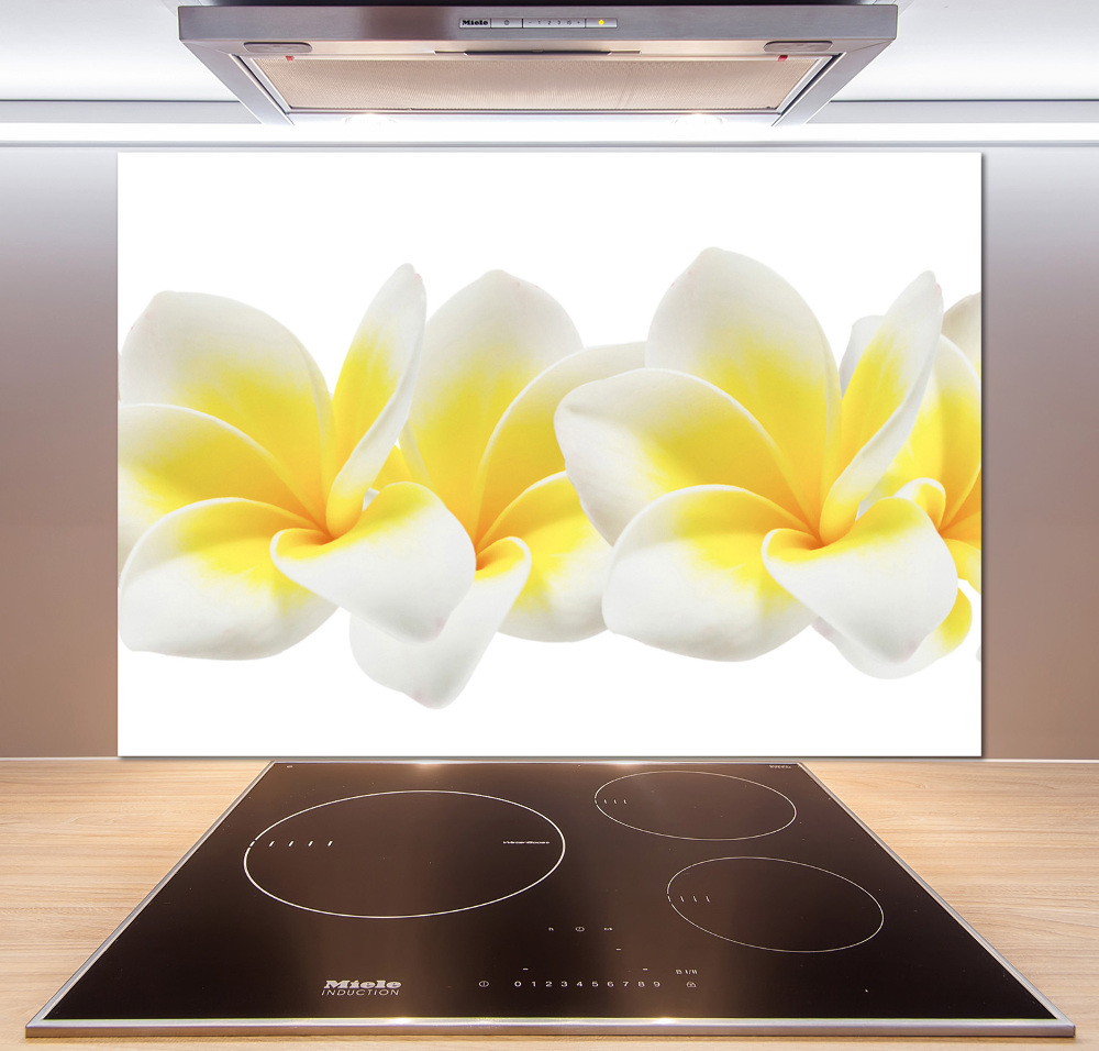 Panel między meble w kuchni Plumeria