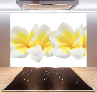 Panel między meble w kuchni Plumeria