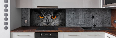 Panel lacobel Diabelskie oczy sowy