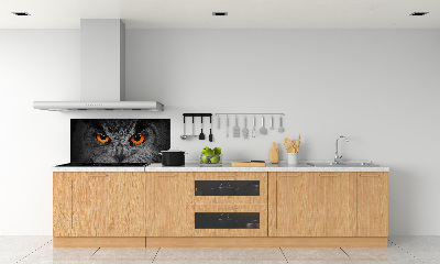 Panel lacobel Diabelskie oczy sowy
