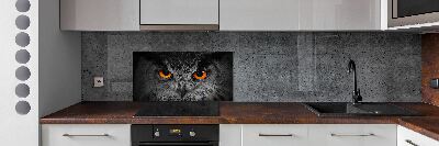 Panel lacobel Diabelskie oczy sowy