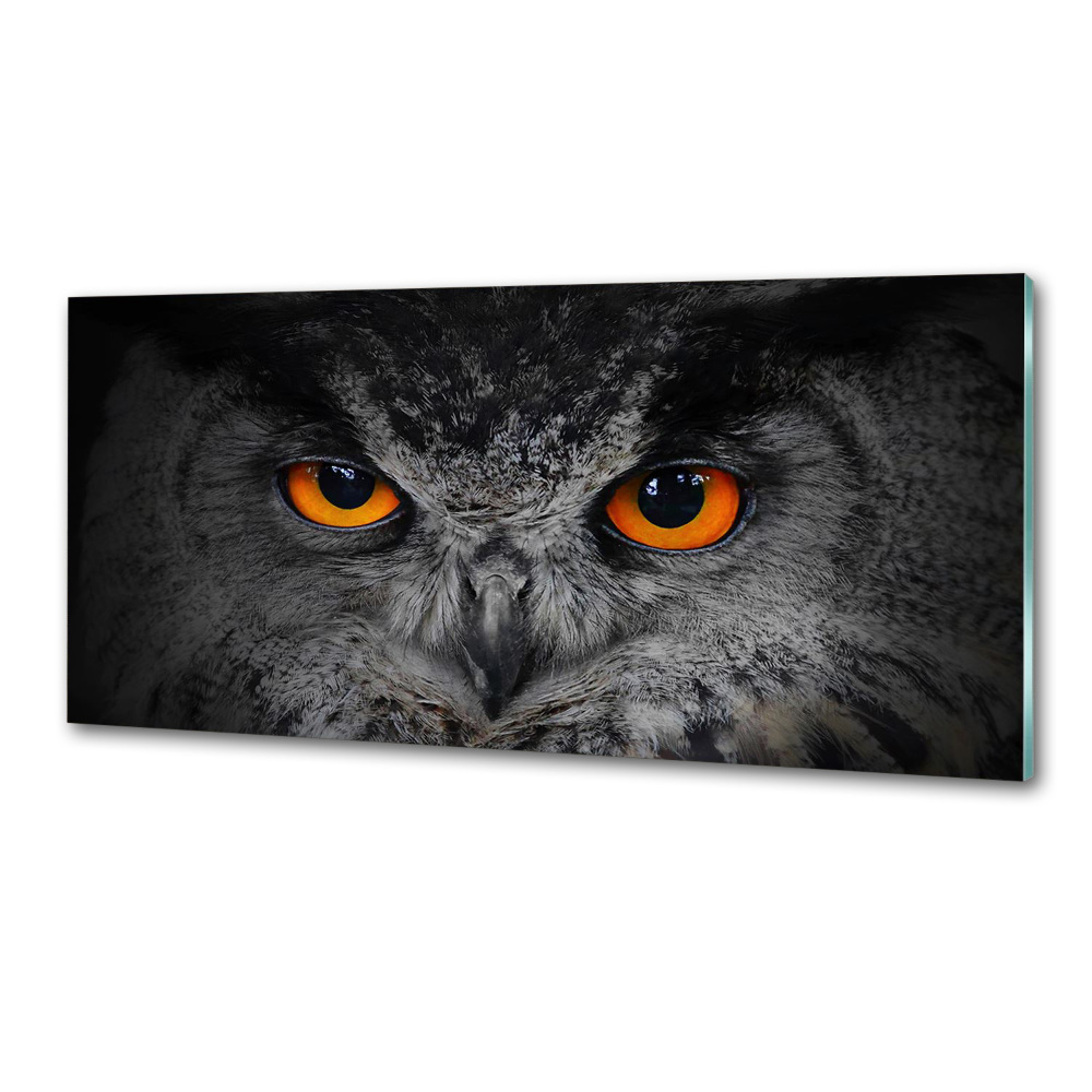 Panel lacobel Diabelskie oczy sowy