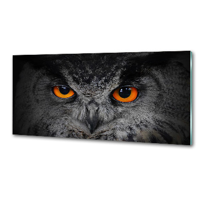 Panel lacobel Diabelskie oczy sowy