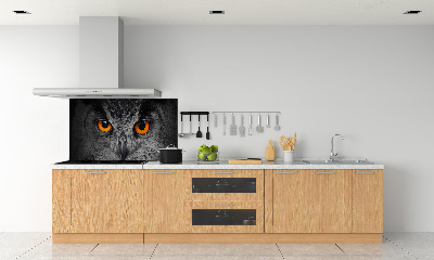 Panel lacobel Diabelskie oczy sowy