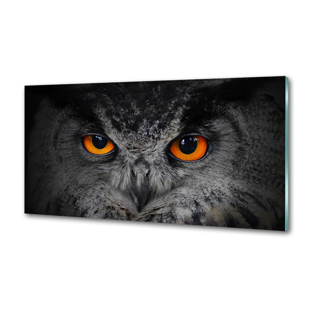 Panel lacobel Diabelskie oczy sowy