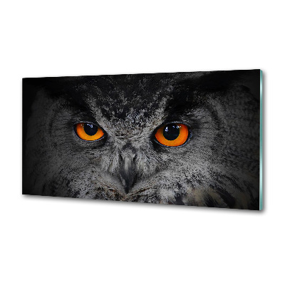 Panel lacobel Diabelskie oczy sowy