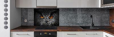 Panel lacobel Diabelskie oczy sowy