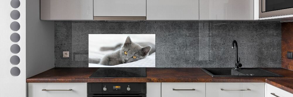 Panel między meble w kuchni Szary kot