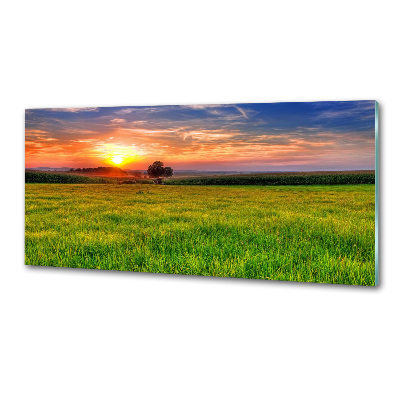 Panel do kuchni Zachód słońca łąka