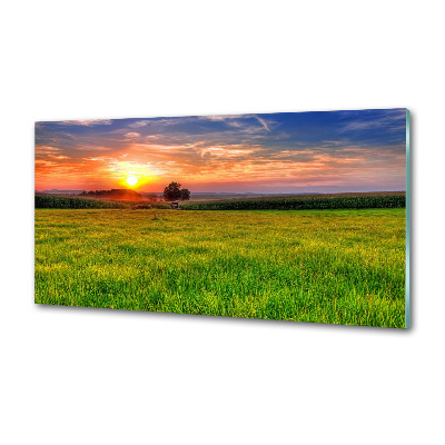 Panel do kuchni Zachód słońca łąka