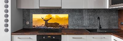 Panel lacobel Jeleń wschód słońca