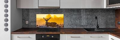 Panel lacobel Jeleń wschód słońca