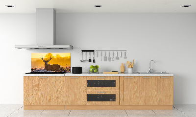Panel lacobel Jeleń wschód słońca
