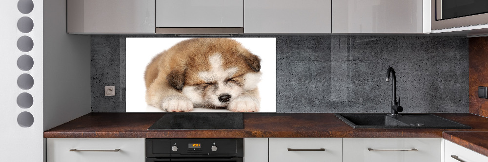 Panel do kuchni Szczeniak Akita