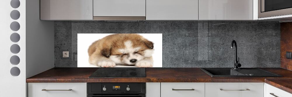 Panel do kuchni Szczeniak Akita