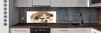 Panel do kuchni Szczeniak Akita