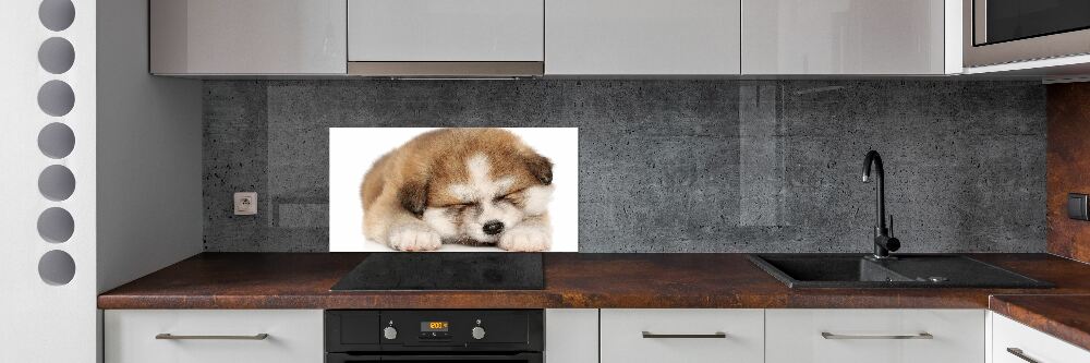 Panel do kuchni Szczeniak Akita