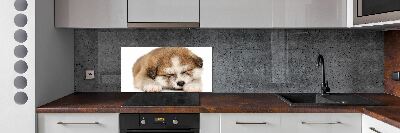 Panel do kuchni Szczeniak Akita