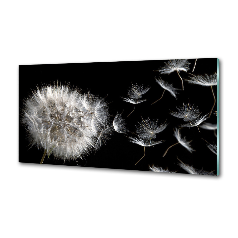 Panel dekor szkło Dmuchawiec