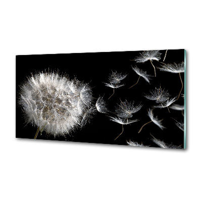 Panel dekor szkło Dmuchawiec