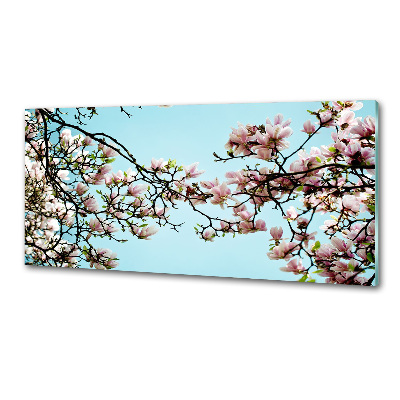 Panel do kuchni Kwiaty magnolii