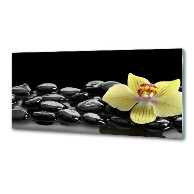Panel między meble w kuchni Orchidea
