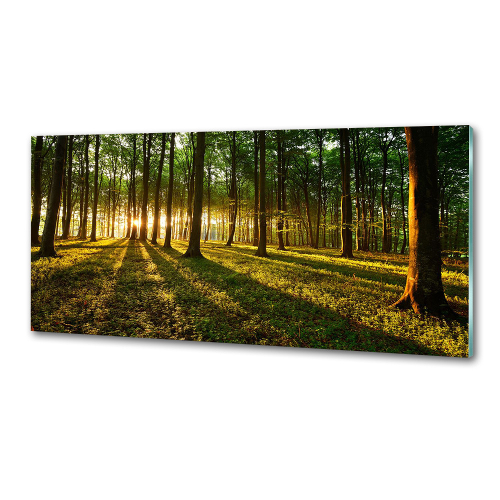 Panel do kuchni Promienie słońca