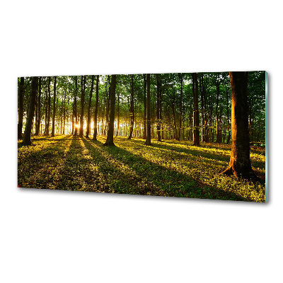 Panel do kuchni Promienie słońca