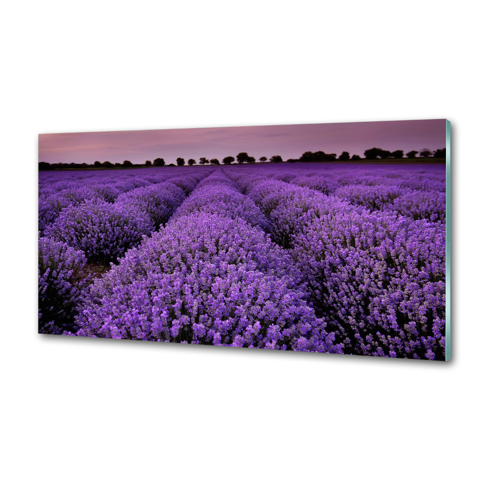 Panel dekor szkło Pole lawendy