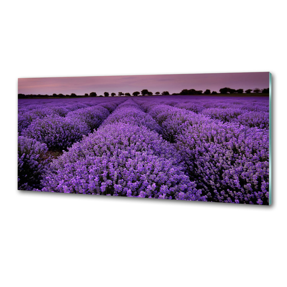 Panel dekor szkło Pole lawendy