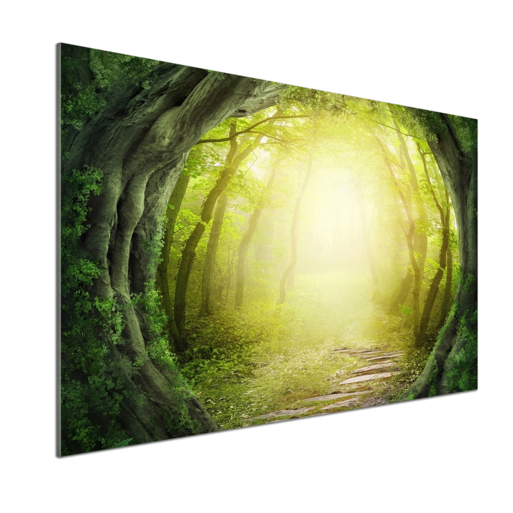 Panel do kuchni Tunel z drzew