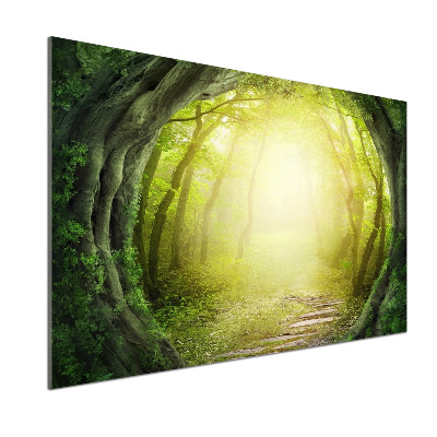 Panel do kuchni Tunel z drzew