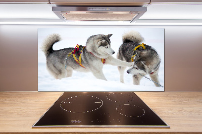 Panel dekor szkło Husky zimą
