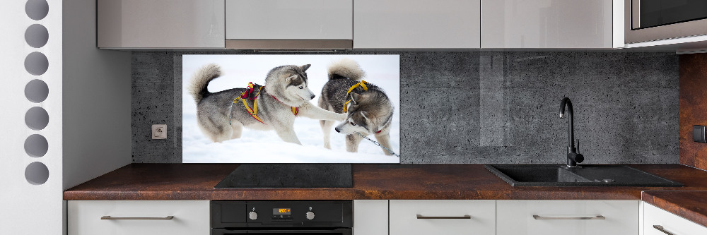 Panel dekor szkło Husky zimą