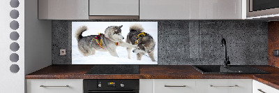 Panel dekor szkło Husky zimą