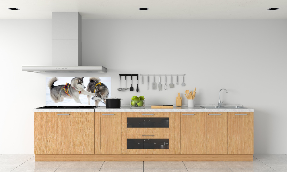 Panel dekor szkło Husky zimą