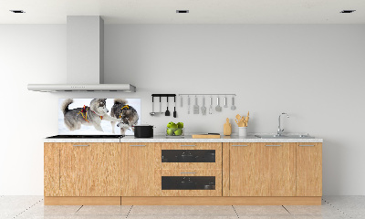 Panel dekor szkło Husky zimą