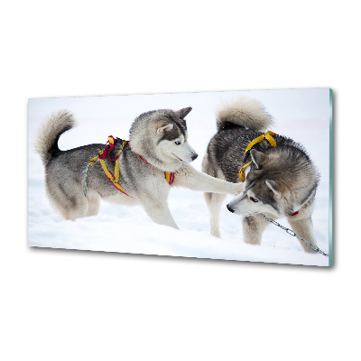 Panel dekor szkło Husky zimą